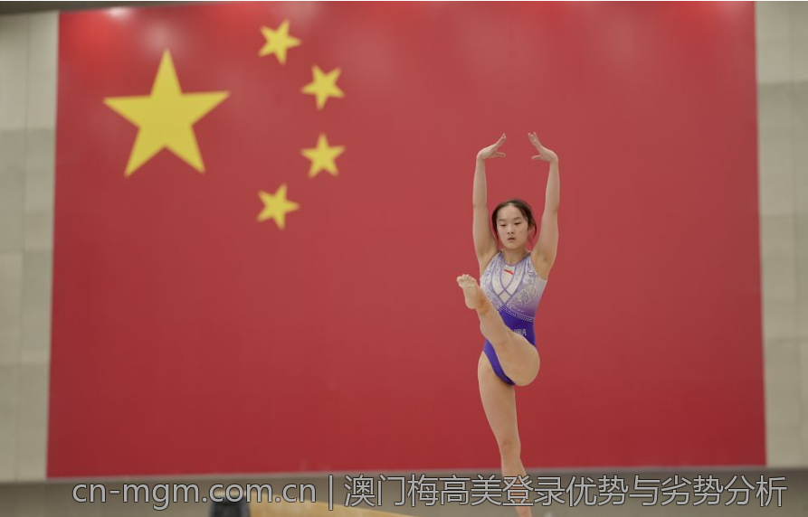 澳门梅高美登录优势与劣势分析