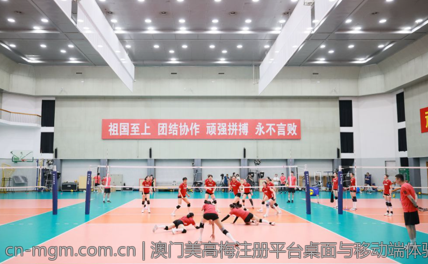 澳门美高梅注册平台桌面与移动端体验